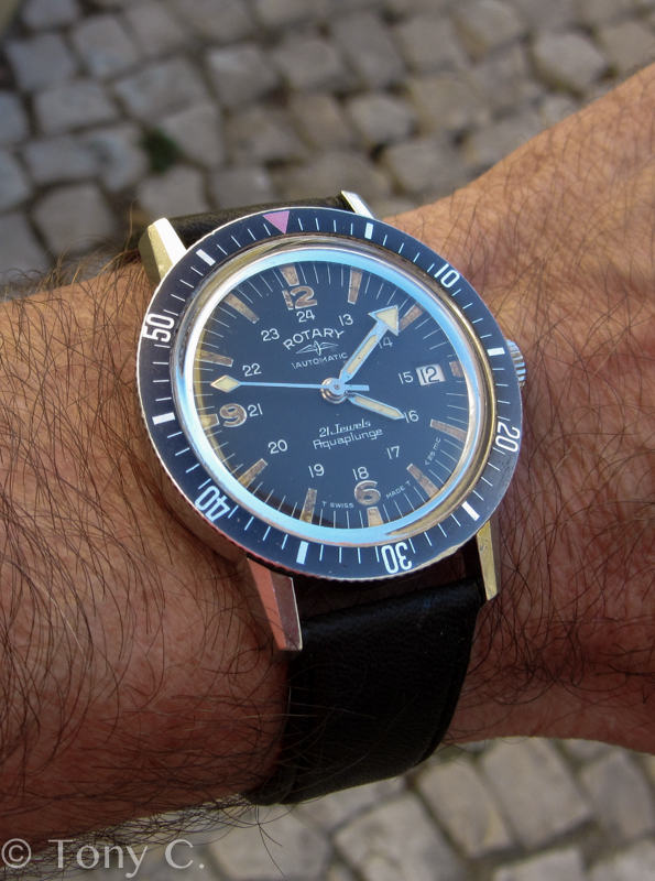 rotary vintage dive