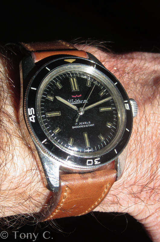 waltham diver watch